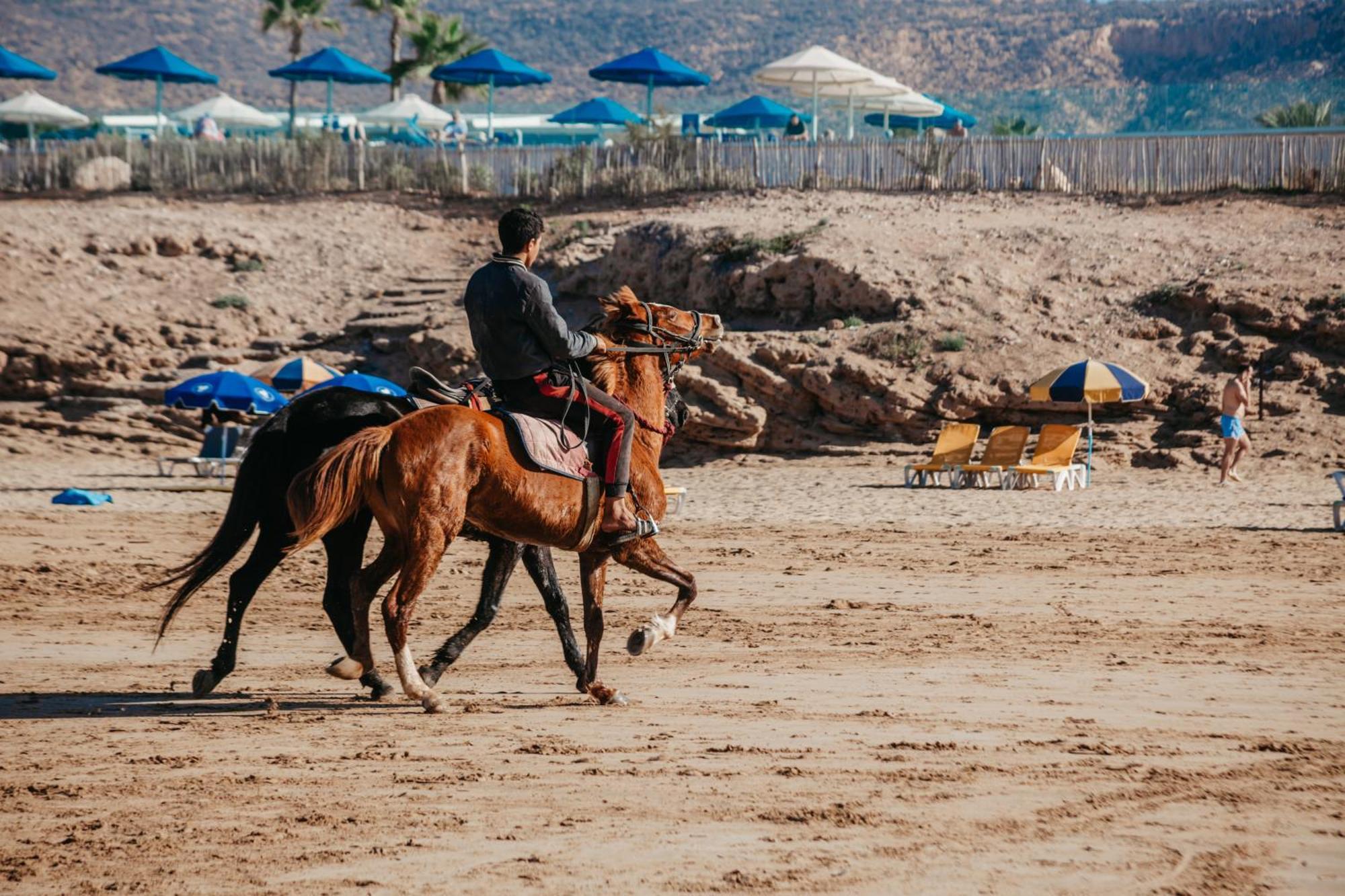 Harmony Surf Lodge Taghazout Dış mekan fotoğraf