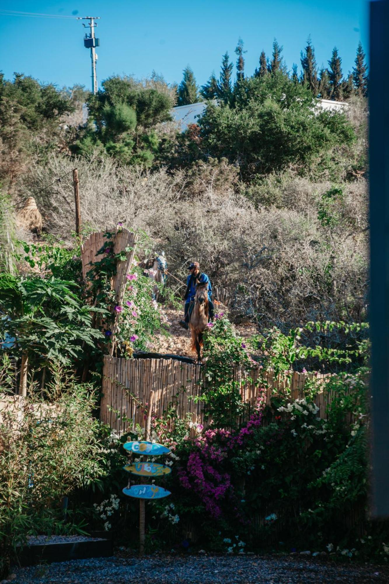 Harmony Surf Lodge Taghazout Dış mekan fotoğraf